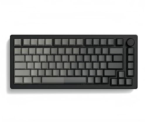 dagaladoo PBT Shine Through Keycaps, 75% Cherry Profile, Gradient Gray, Doubleshot, Widely Compatible Keycap Set for Mechanical Gaming Keyboards