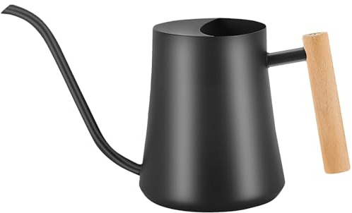 LanQii 1L/35oz Watering Can Indoor Plants, Stainless Steel Indoor Water Can with Long Spout and Wooden Handle Watering Jug for Houseplant Bonsai Bonsai Garden Flower - Black
