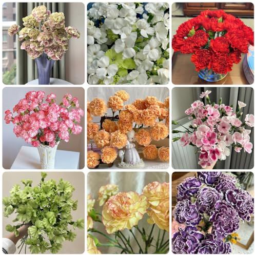 semillas de clavel perenne, clavel dulce de para bancales elevados de clavel de primavera, silvestres de jardín, 400pcs