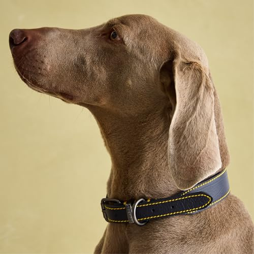 Joules Rosewood Joules Navy Blue Leather Dog collar, Navy, Medium