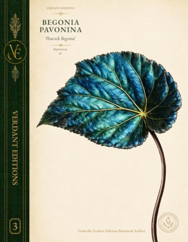 Verdant Editions No. 3: Begonia pavonina 'Peacock Begonia' Botanical Journal