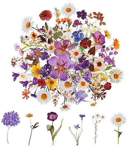 120Pcs Flower Stickers for Scrapbooking,Natural Flowers Aesthetic Scrapbook Stickers, Transparent Floral Stickers Set for Scrapbook Supplies,Craft, Card, Laptop, (60 Styles)