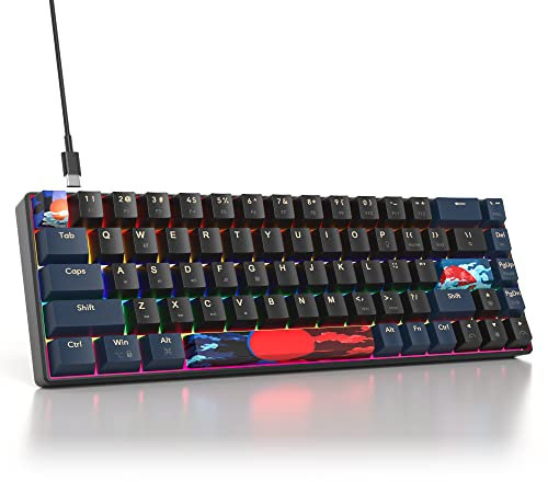 iTastatur 60 Percent Gaming Keyboard Mechanical with Linear Red Switch, 65% Wired Ultra-Compact Mini Keyboard Rainbow with PBT Keycaps for Ps4/Ps5/Xbox(68 Blue)