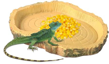 Schildkröte Futternapf Flacher und Flacher Reptiliennapf Lustiger -Futterspender Lustige Haustierbedarf für Bartagamen, Eidechsen