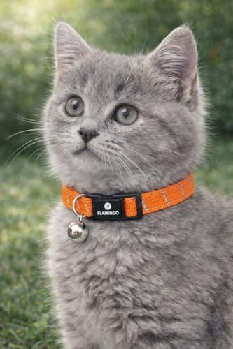 Collier Chat - Chaton Elza Orange 15–22 cm – Nylon élastique réfléchissant avec Clochette