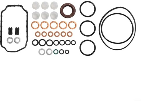 Pumixiy Diesel Kraftstoffpumpe Reparatursatz 1467010059 für 5,9L 12V Jetpumpe Umbauset Kompatibel mit 14670-10059 1-467-010-059