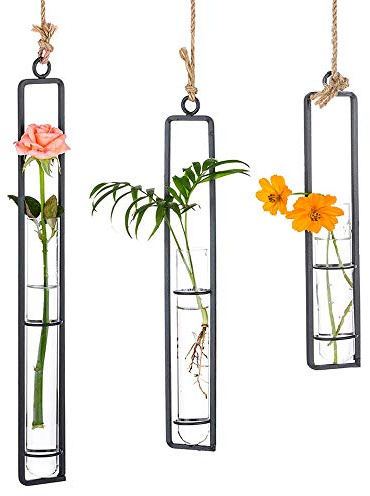 Sziqiqi Glass Propagation Station Test Tube Vases Clear Glass for Cuttings, Buds, Greenery Hydroponic Plant Propagation Home Balcony Bath Wall Decoration Floral Container Set of 3 Black