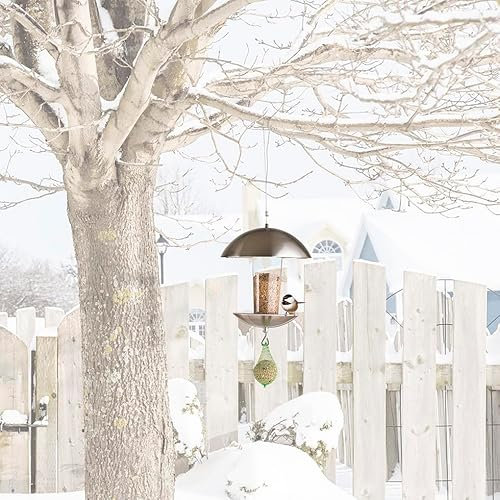 MeLiTec Design Futterstation VH05 hängend rund für Vögel - Vogelhaus mit Futterspender, Futterschale und Meisenknödelhaken aus Edelstahl und Kunststoff - Wildtierfutterstation