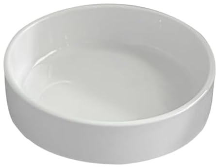 Whnbuij Maceta de cerámica de paleta de madera brasileña, plato de cerámica brasileña | Posavasos de cerámica blanca para plantas hidropónicas, versátil plato de plantas brasileñas, elegante