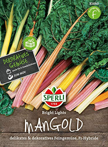 81460 Sperli Premium Mangold Samen Bright Lights | Zart | Wohlschmeckend | Mangold Saatgut | Mangold Saat