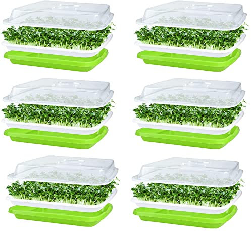 KAHEIGN 6Pcs Keimschalen für Sprossen, Seed Sprouter Tray 32cm x 26cm Keimschale Sprossen mit Deckel für große Samen Keimung Tablett Keimbox für Anzucht von Mungbohnen Alfalfa Weizengras