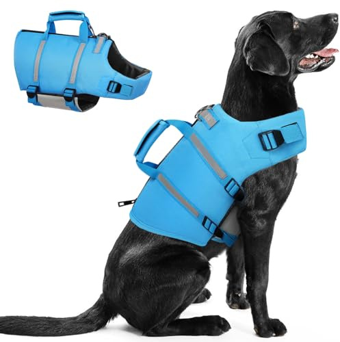 Queenmore Dog Life Jacket, M Dog Life Vest,High Floating Pet Life Vest for Swimming,Lightweight Adjustable Puppy Life Preserver for Boating,Dog Water Vest with Back Zip,Rescue Handle,Hook (Blue M)