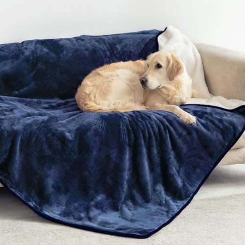 Dreamzie - Plaid Imperméable Chien et Chat - 127x152 cm - Bleu Marine