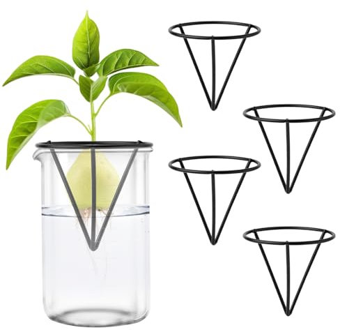 Gosknor 4pcs Démarreurs de Graines d'Avocat, Kits de Culture d'Avocatiers Triangulaires en Métal Support de Graines d'Avocat pour La Germination pour La Décoration de Table de Bureau à Domicile