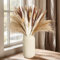 Probuk Pampas Secas Decoración Grandes 25 Piezas Plantas Naturales Ramo Flores Secas para Decoración del Hogar Estilo Boho