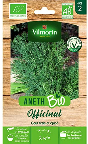 Aneth Officinal - BIO