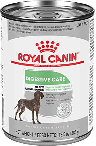 Royal Canin Canine Care Nutrition Digestive Care Adult Loaf in Sauce Dog Food, 13.5 oz (Pack of 12)
