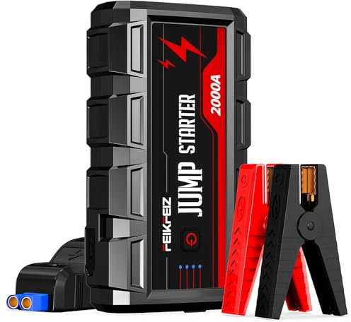 FEIKFEIZ Avviatore Batteria Auto, 4000A 16800mAh Avviatore Emergenza per Auto(Adatto a 8,0L Veicoli a Benzina o 6,0L Diesel) 12V,Avviatore di Emergenza, Jump Starter, con Torcia LED.