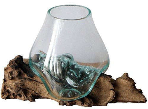 Balibarang-Shop Decoración de Regalo, jarrón de Cristal de Madera de burl Gamal, Cristal 15-16 cm, jarrón de Madera de Teca, Vidrio