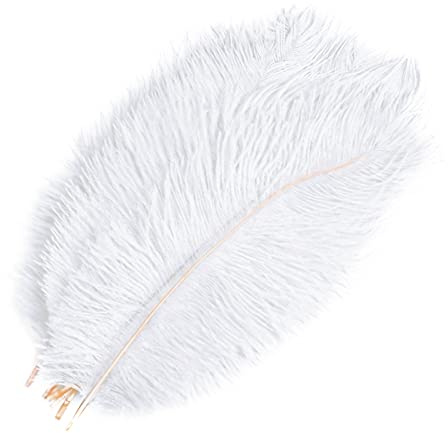 HQdeal 10 st naturliga strutsfjädrar, 20-25 cm, fjäderhantverk, färgglada fjädrar för kreativ fritid, bröllopsfest dekoration (vit)