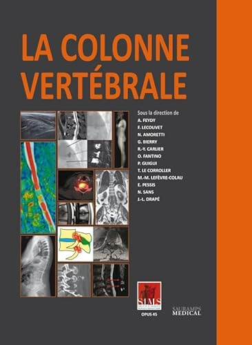 La Colonne Vertébrale