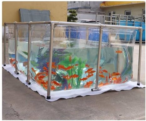 Bassin à poissons transparent Piscine hors sol pour jardin Réservoir d'eau temporaire - Apporte un support pour l'élevage de poissons Bassin visible, Entièrement transparent