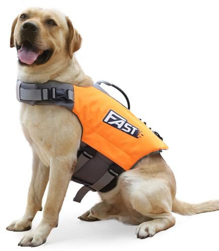 Giubbotto di Salvataggio per Cani, Salvagente Cane con Maniglia Sicura, Resistente e Leggero, Gilet di Sicurezza Alta Galleggiabilità per Adatto per Nuoto e Sport Acquatici - Arancione (M)
