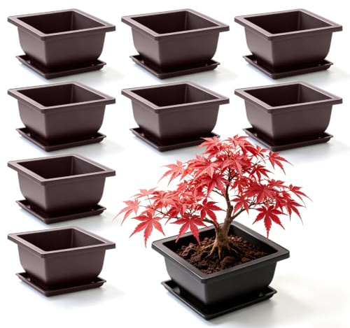 Keltorio 8 st bonsai skål, 13 x 13 x 10 cm kruka med brickor, plastkruka, kvadratiska suckulenter krukväxter planteringskruka för kontor trädgårdar vardagsrum balkonger terrass innergårdar