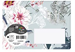 Clairefontaine 55033C - Paquet de 20 Enveloppes Imprimées Gommées - Format C6 11,4x16,2cm - 120g - Coloris Bleu Clair - Thème Botanic Garden - Invitation Evènements et Correspondance - Gamme Pollen