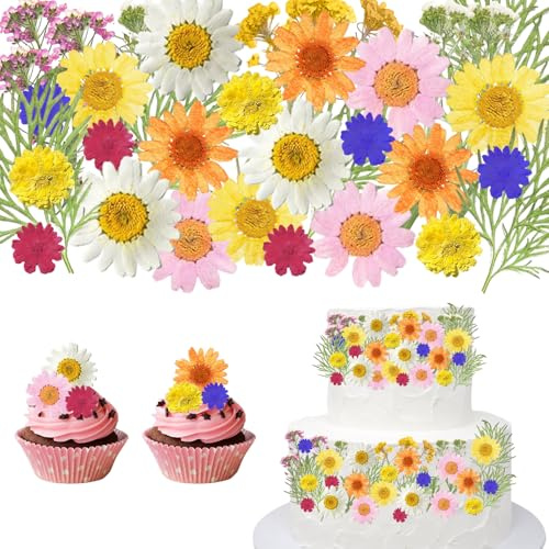 CENCERY 41 st Torkade Blommor Naturliga Gul, för Tårtdekoration, Cupcake-Toppar, Cocktailgarnityr, Matdekorationer, Bakning, Bröllop, Födelsedag & Festliga Desserter (Gul)