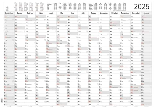 Alpha Edition - Jahresplaner XL 2025 Plakatkalender, 100x70cm, Jahreskalender mit 14 Monaten-Übersicht, Ferienterminen und deutschem Kalendarium, Arbeitstagezählung