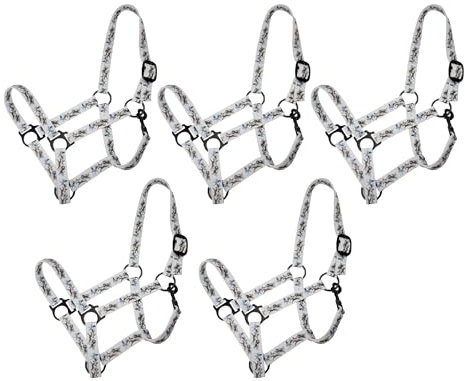 Brama West Halfter Set Pferd Wild Horses Pferdehalfter 5 Stück (Cob)