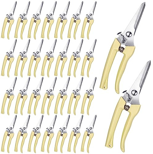 Chumia 30 Pcs Garden Flower Shears Pruning Scissors Heavy Duty Plant Scissors Trimming Garden Clippers Hand Tree Pruner for Yard Gardening Plants Hedge Flower Tree Cutting Secateurs (Beige)