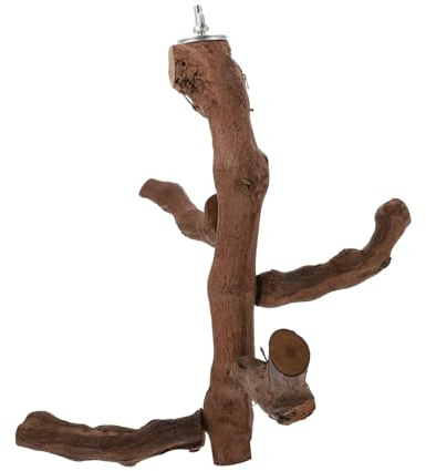 BESPORTBLE Branche d'arbre Debout pour Perroquet Poteau Debout pour Perroquet Support De Perche pour Perroquet Support De pour Perroquet Tige Debout pour Oiseau Support Debout pour