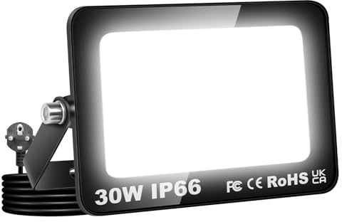 Willpower Projecteurs LED Extérieur Avec Prise, Spot LED 30W 3000LM, 6000K Blanc Froid, IP66 Etanche Eclairage Lumière de Sécurité pour Jardin Patio Garage Terrasse Maison