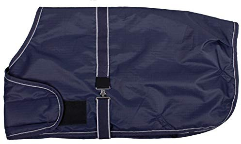 QHP Couverture d'extérieur pour Poulain 100g - Bleu Marine - Taille 80 cm - Rayée - Imperméable et Respirant - Durable - Pour Grandes Races - Vêtement pour Chevaux - Couverture pour Poulain