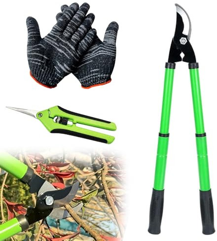 Lotvic Coupe Branches, Sécateur Télescopique, Ciseaux de Jardin, Cisaille Coupe Branches avec Cisailles à Raisin et Gants, pour Branches, Haies, Jardinage Élagage, 42-61CM