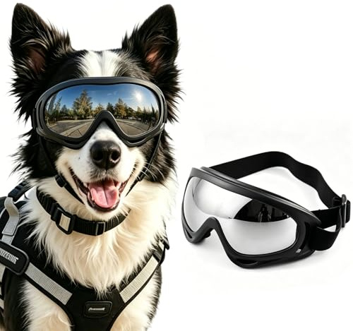Lunette de Protection des Yeux