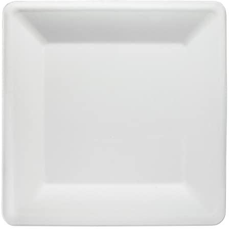 Wisefood Platos de bagazo, 50 unidades, platos desechables cuadrados, 20 cm, ideal como plato de fiesta o plato, vajilla de caña de azúcar biodegradable