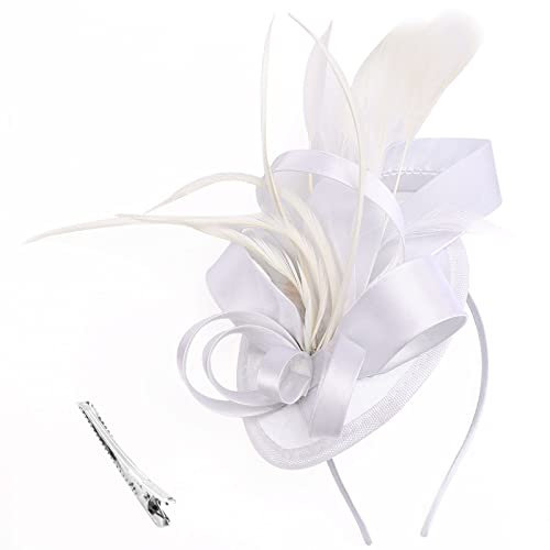 DRESHOW Fascinator Hüte für Damen Pillbox Hut mit Schleier Stirnband und Einer Gegabelten Clip Tea Party Kopfbedeckung