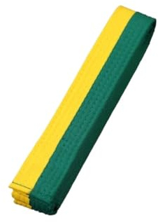 WUYXTO 2 stycken Taekwondo färgade ranglista bälte bomull kampsport Judo Karate TKD Aikido uniform vuxna för karate