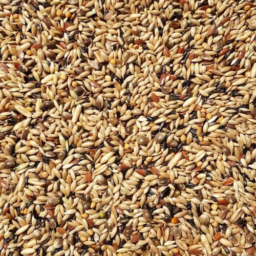 Supravit Kanarienfutter ohne Rübsen 2,5kg | Vogelfutter für Kanarienvögel Aller Arten | Für Waterslager, Harzkanarien und mehr | Ganzjahres-Futter für Kanarien Vögel