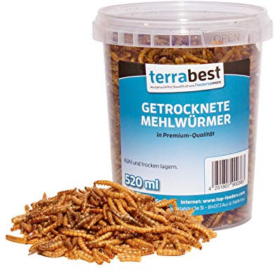 Terrabest 520ml getrocknete Mehlwürmer Premium Qualität Reptilienfutter, Fischfutter, Igelfutter, Nagerfutter, Vogelfutter, Wildvogelfutter