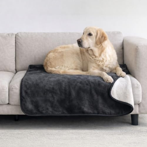 Dreamzie - Vattentät hundtäcke 80x100 cm - Vändbar vattentät filt - För hundsäng och soffa, i Sherpa Fleece - Tvättbar - Mörkgrå