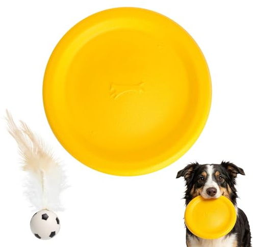 JYYWTSI Frisbee, 23 cm, disco da lancio per cani, giocattolo da rifugio, leggero, robusto, galleggiante, resistente ai morsi per cani di grossa taglia nel parco al lago in giardino all'aperto