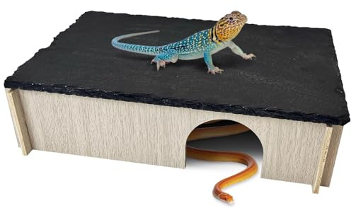 PINVNBY Bearded Dragon Basking Platform, Wood Reptile Hides and Caves, Crested Gecko Hide with Slate Rock, Leopard Gecko Tank Accessories for Small Lizard Snake (M: 9.84x5.9x2.76 inches)