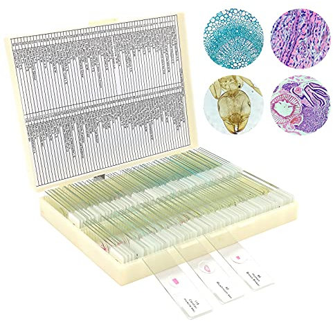 120 Mikroskop Objektträger mit biologischen Proben, Insekten Pflanzen menschliche Zelle für Labor Biologie und Wissenschaft Studium