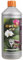 VARIEGATA SW10015