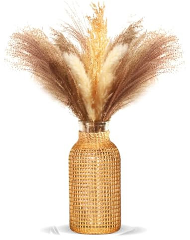 Tiamu Vase À Fleurs en Verre Transparent, Vases pour l'herbe de Pampa, Vases Decoratif Couvercle Seagrass, Vase de Plantes Hydroponiques, Pot de Fleurs Centre de Table pour Bureau, Jardin, Mariage