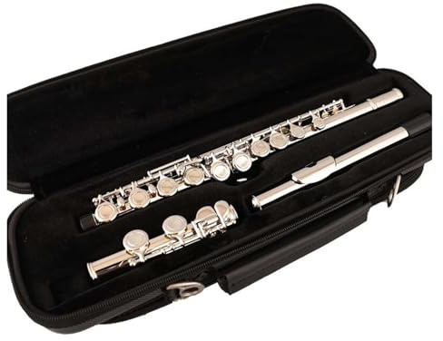 tvärflöjt instrument Flöjt 16 tangenter professionell flöjt för vuxna